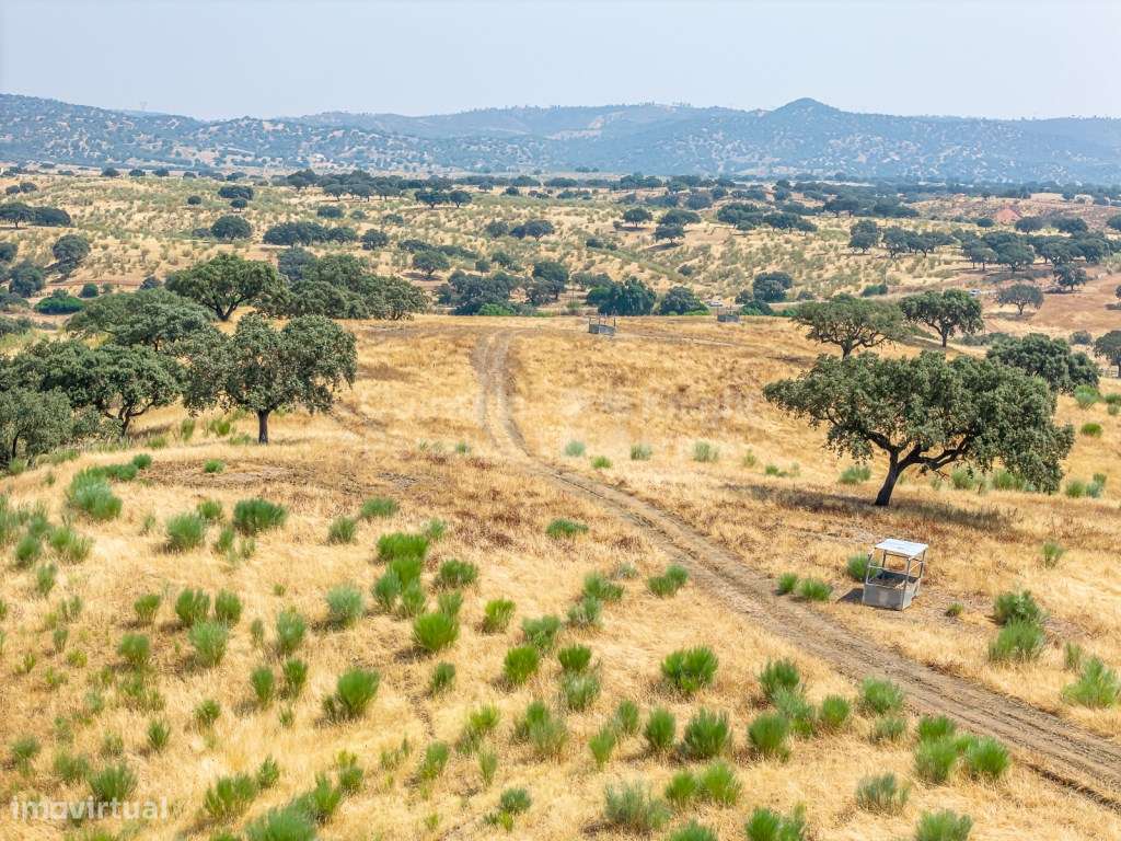 Herdade de 152 hectares em Marmelar, Alentejo - Grande imagem: 4/38