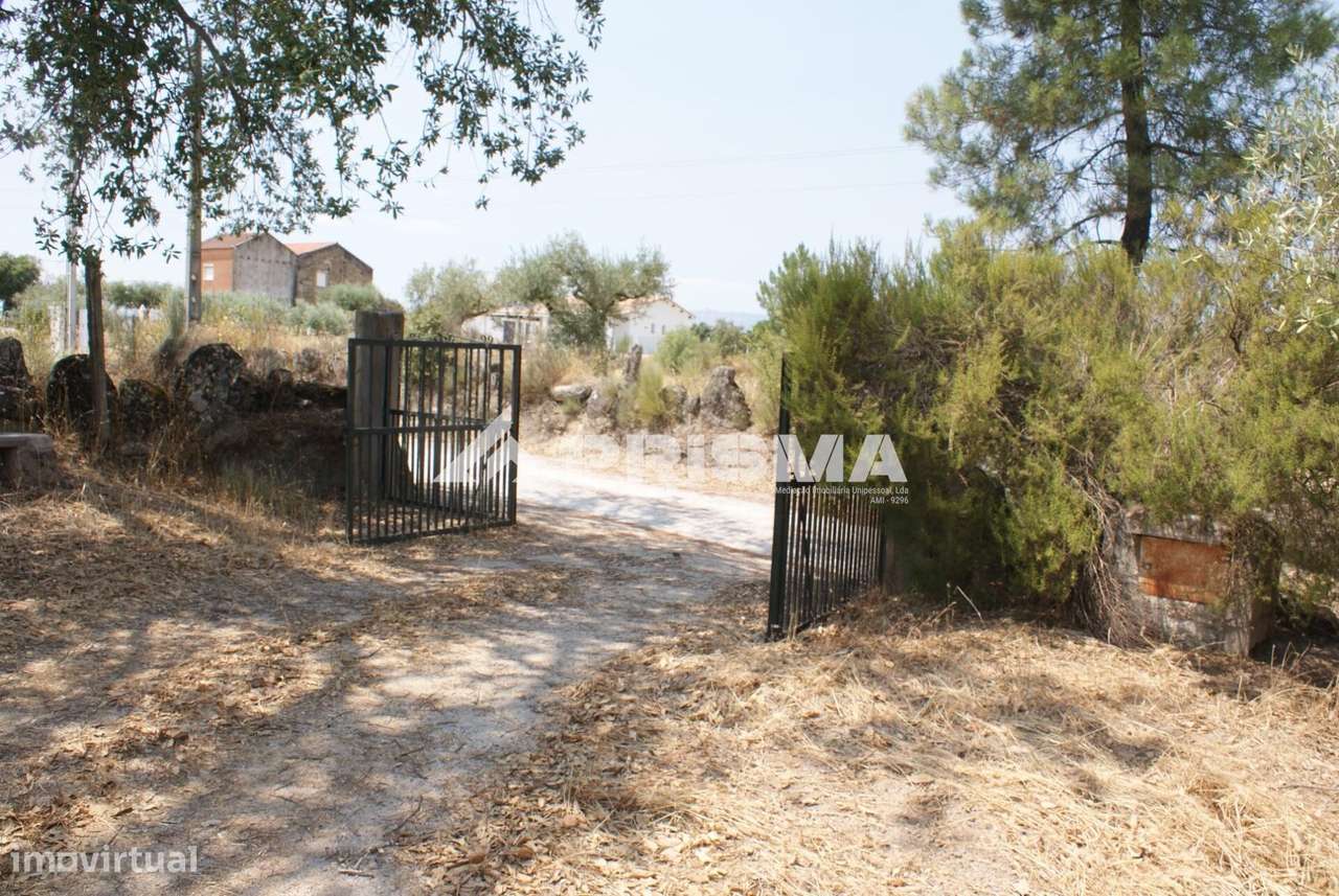 Quinta para Venda em Orca - Fundão-14