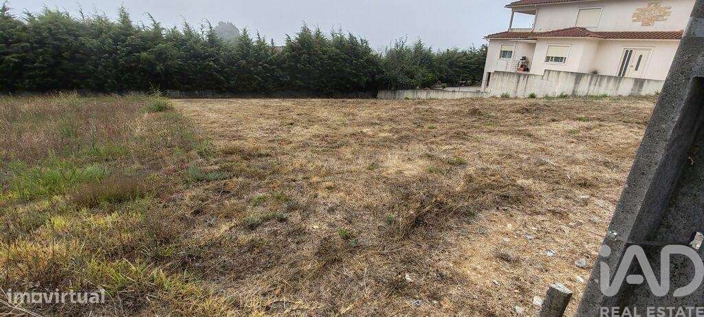 Terreno para construção em Figueiró dos Vinhos e Bairradas - Grande imagem: 4/12