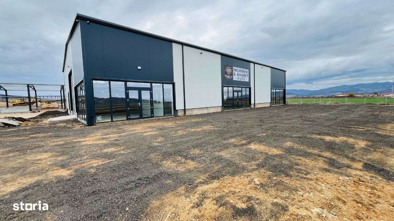 Hala De Inchiriat In Sebes. 600 mp-400 mp Sau 200 mp. - Imagine principală: 4/14