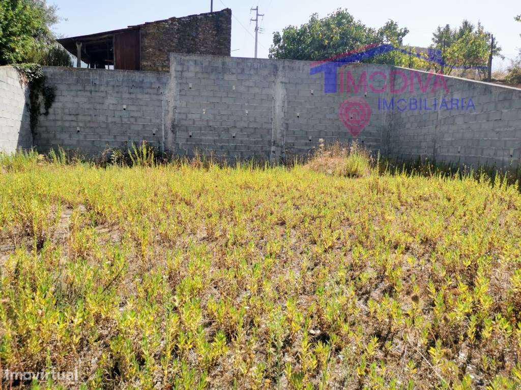 Terreno murado em Adega, Pedrogão Grande - Grande imagem: 5/10