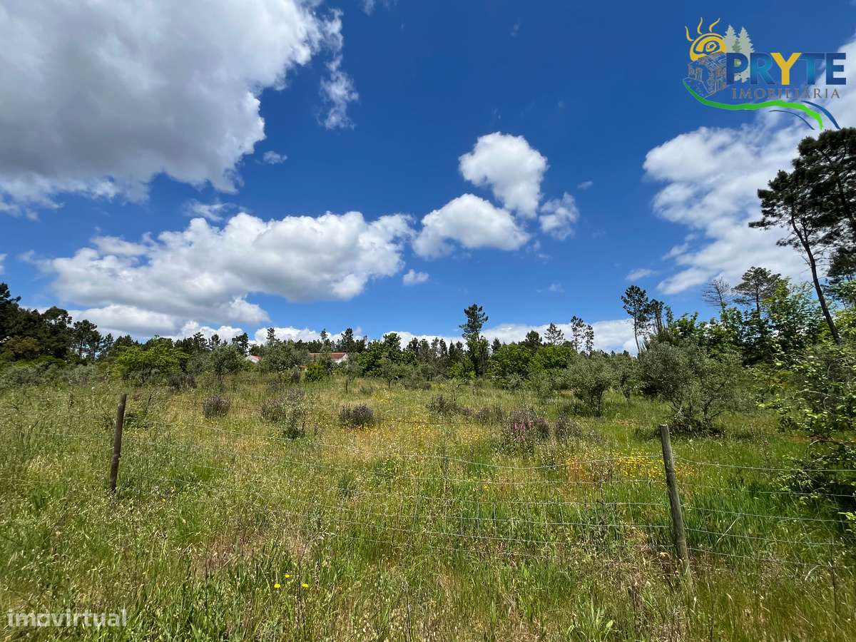 Quinta com 2 hectares de área total-sinónimo de privacidade e sossego-23