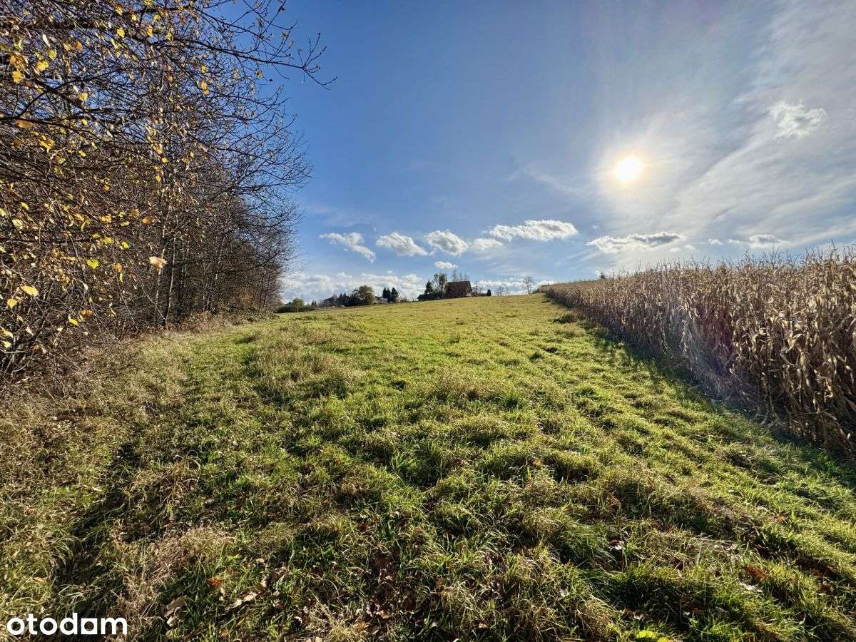 Kompleks działek 7159m² w Rudzicy – MPZP i media-4