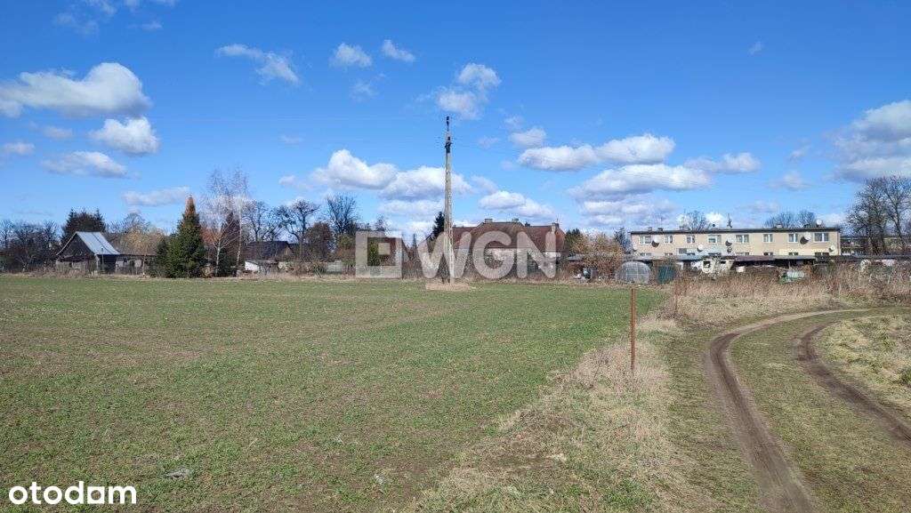 Działki budowlane w Pisanicy - miejsce na Twój dom - Pełny obrazek: 4/19