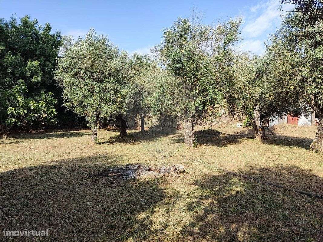 Terreno  para venda - Grande imagem: 5/9