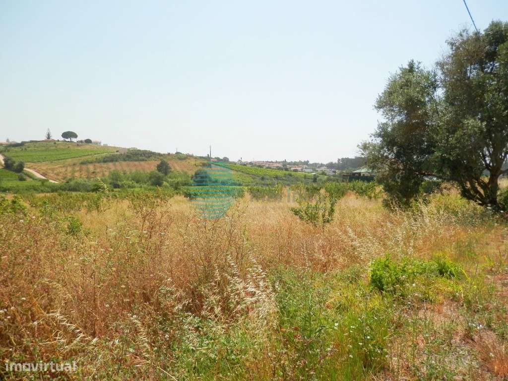 Terreno com 7.980 m2 de área, Turcifal - Grande imagem: 3/12