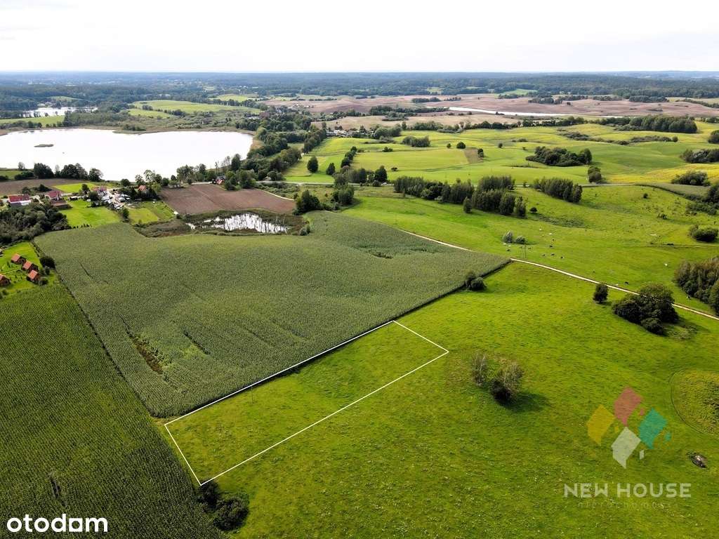 Działka z możliwością zabudowy (3 domy) - Pełny obrazek: 5/9