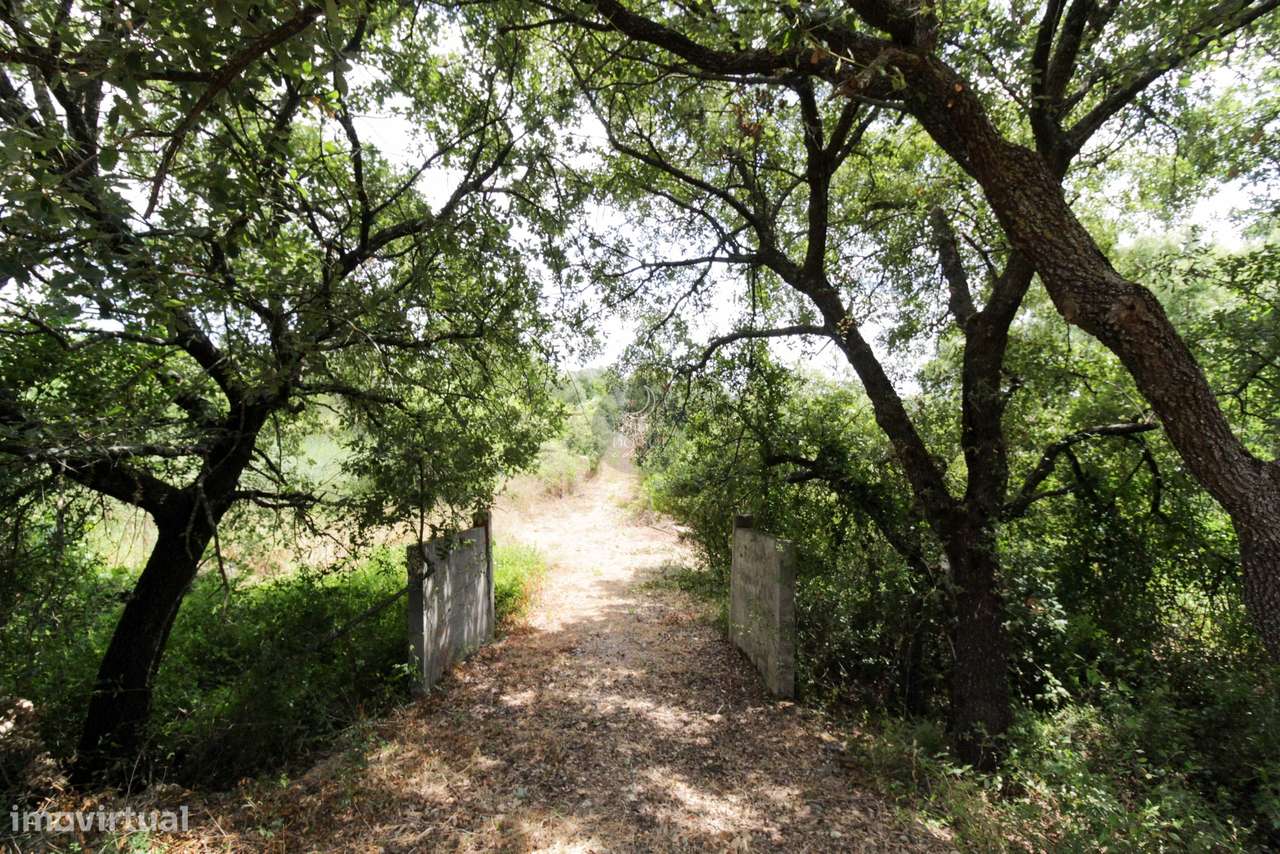 Quintinha de 2.995 m2 c/ moradia V2 e poço.-23