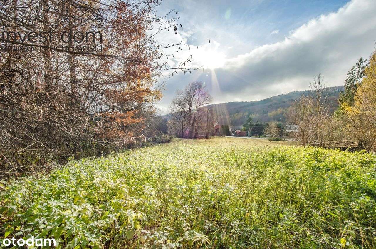 .. idealna, komfortowa i pod lasem! taka jest dzia-10