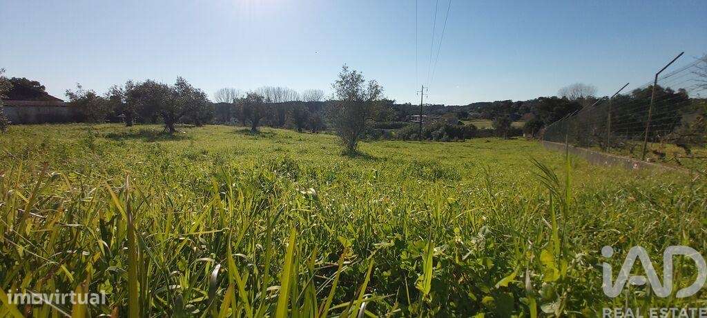 Terreno em Fráguas de 427,00 m2 - Grande imagem: 4/30