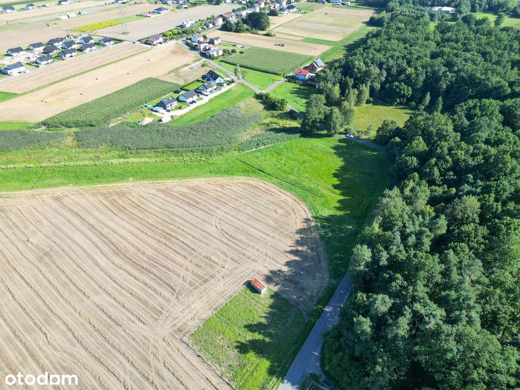 Pasieki, las, media i asfalt - idealne !-7