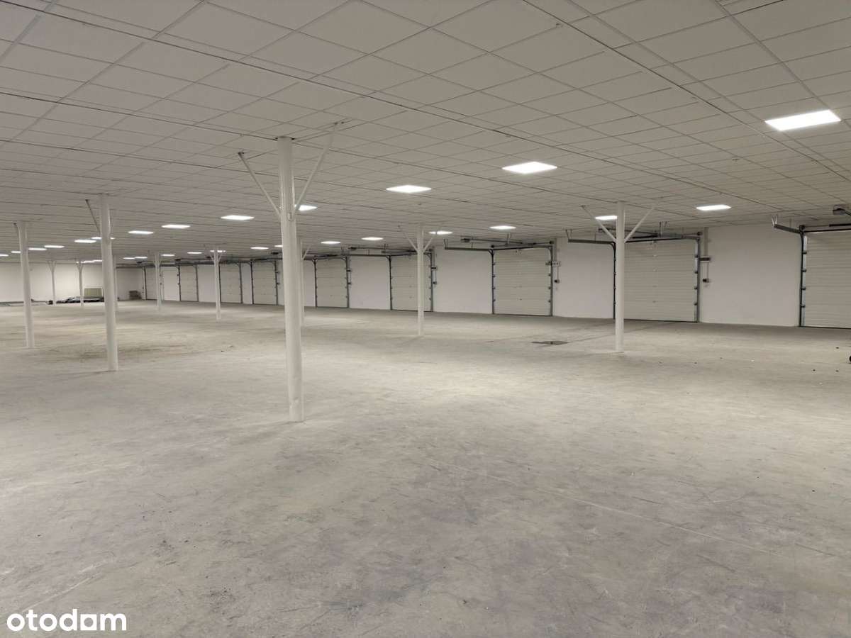 Do wynajęcia Hala magaznowa od 40 do 420 m2 - Pełny obrazek: 5/7