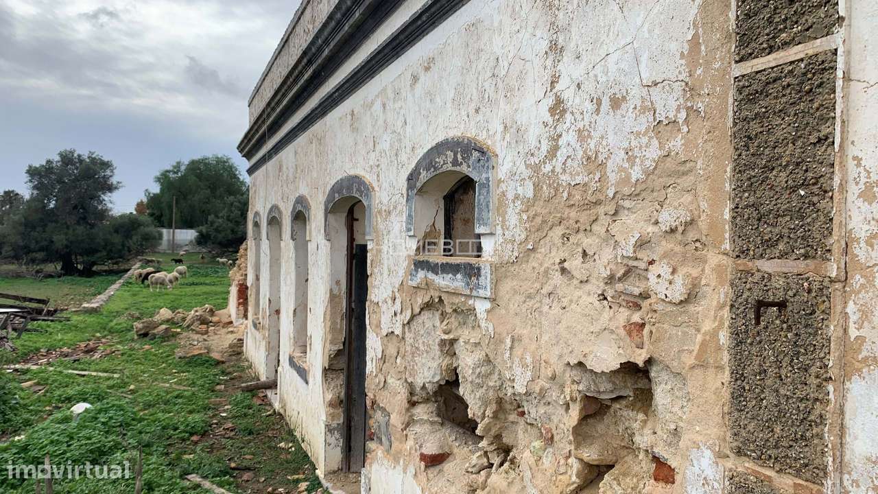 PEDRAS DEL REI - TAVIRA - ALGARVE-5