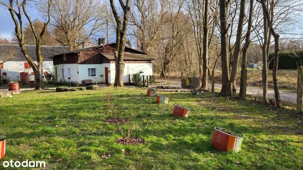 Wyjątkowe siedlisko z potencjałem.-9