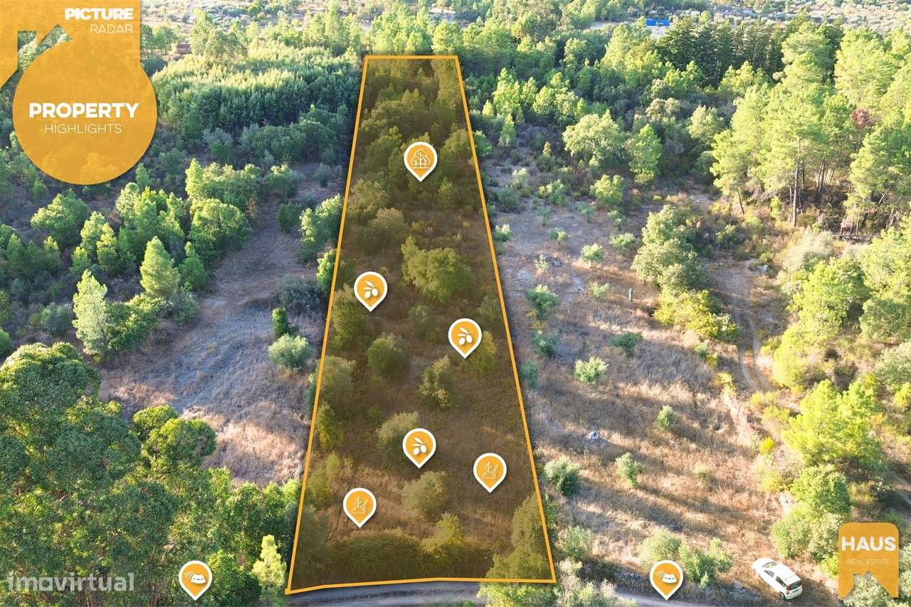 Terreno Rústico 2.300m² c/ Muros de Pedra – Juncal do Campo - Grande imagem: 3/25