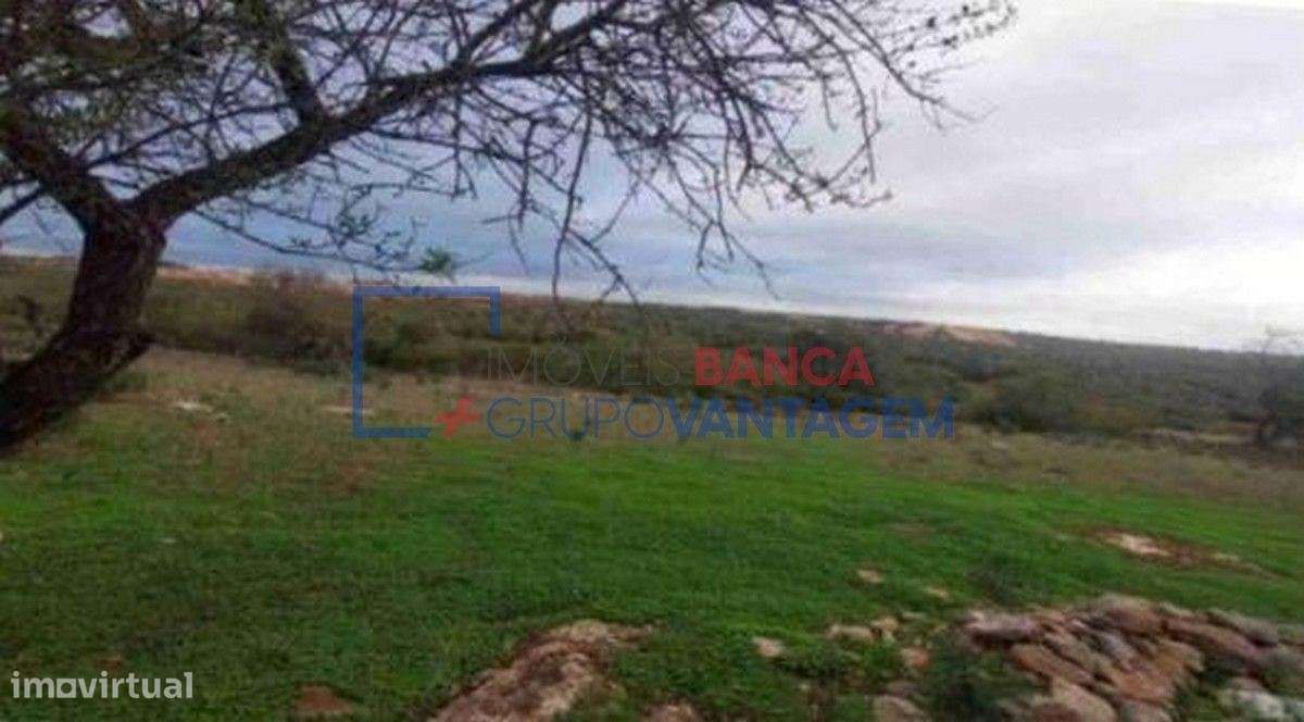 Terrenos mistos, 21 880m2, localizados no Sítio das Fontainhas, Con... - Grande imagem: 4/7