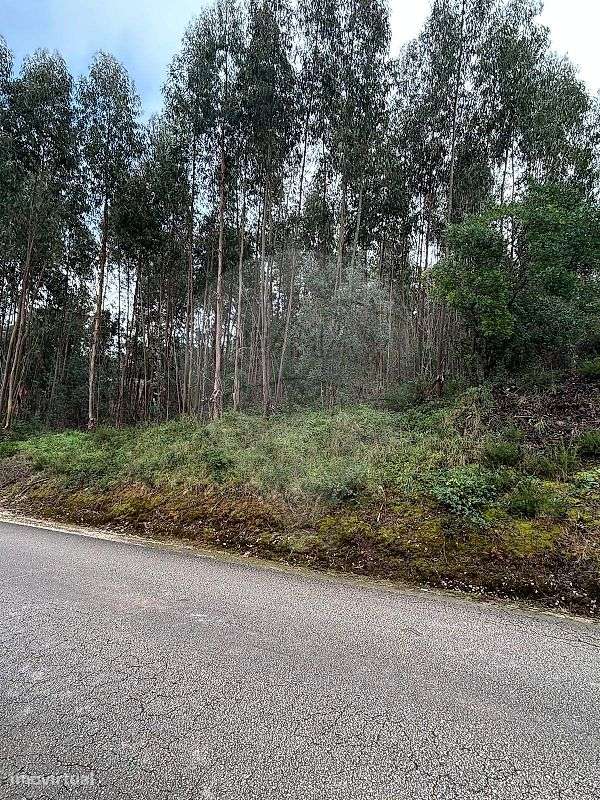 Terreno  para venda - Grande imagem: 2/15