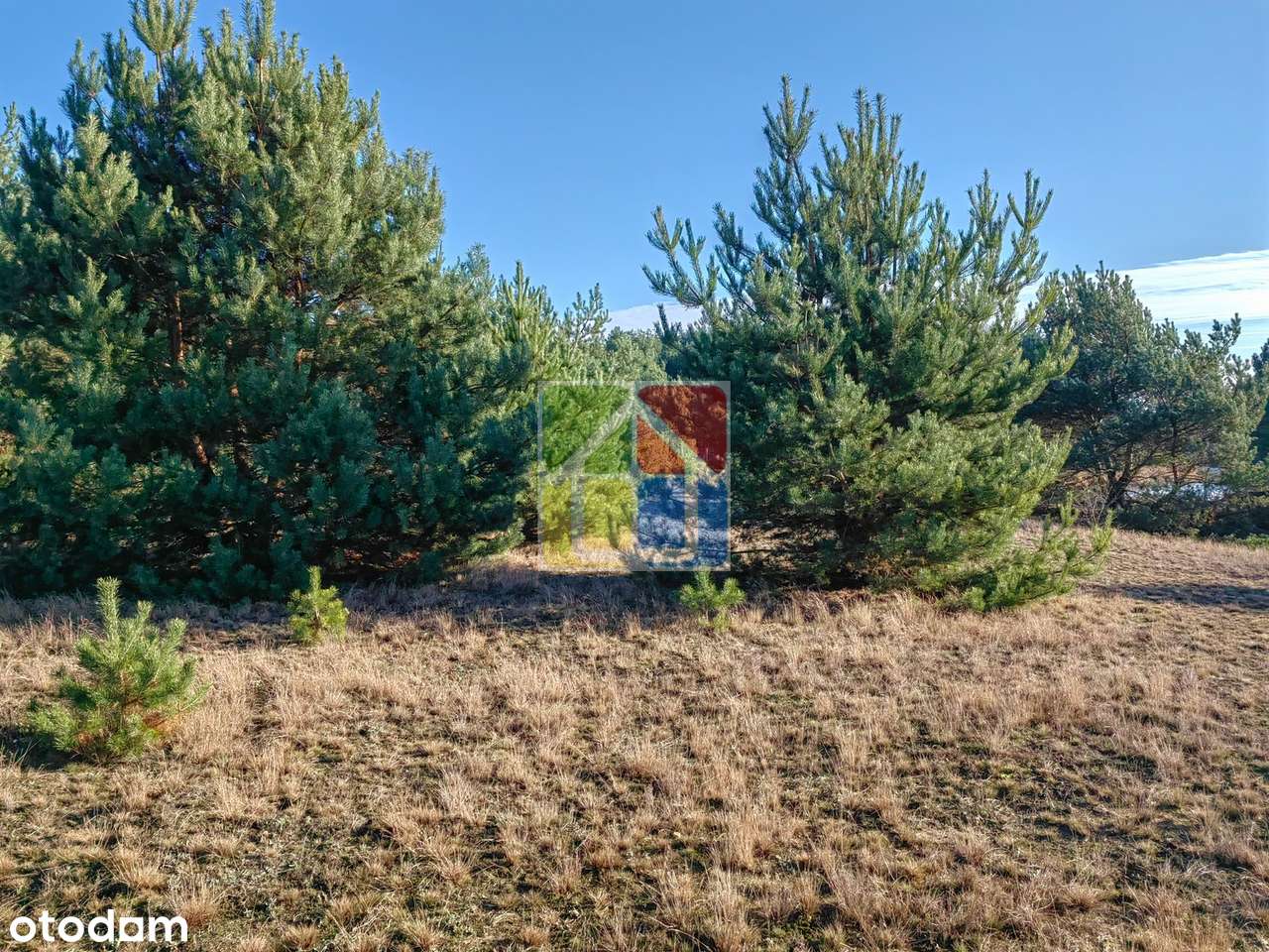 Duża działka z widokiem na jezioro-11