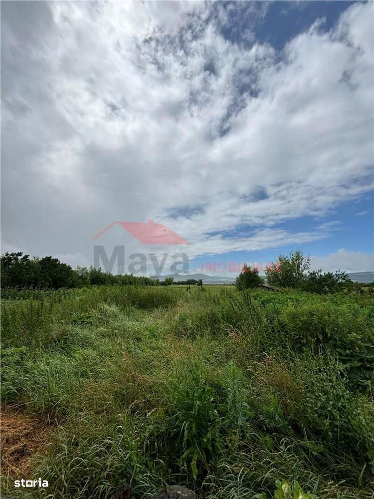 Casa batraneasca cu 33 ari teren, Podirei - Imagine principală: 5/11