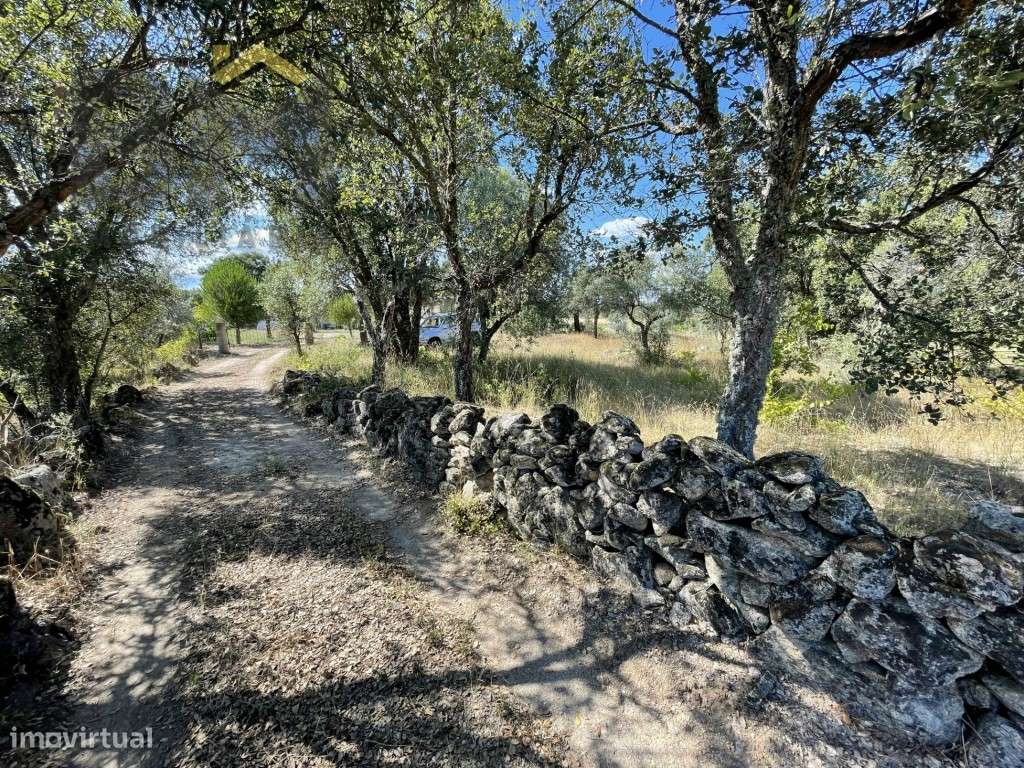 Refúgio Off-Grid no meio da Natureza: Terreno de 3000 m² com Recurs... - Grande imagem: 2/27