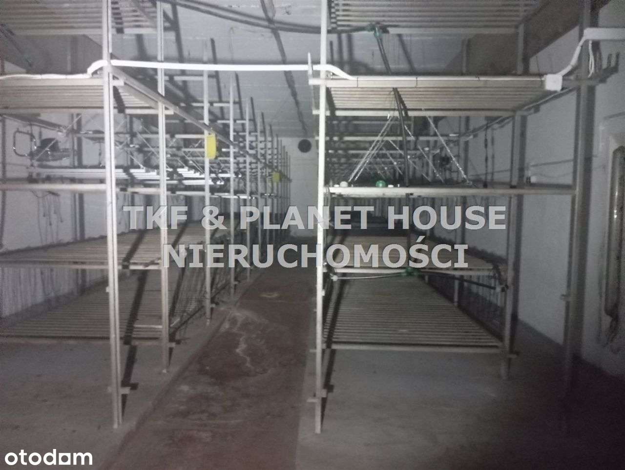 Hala na wynajem 2370 m2 Piotrków Tryb. - Pełny obrazek: 5/9