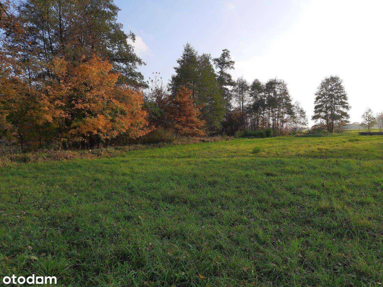 Działka siedliskowa z mediami i pozwoleniem na budowę.-2