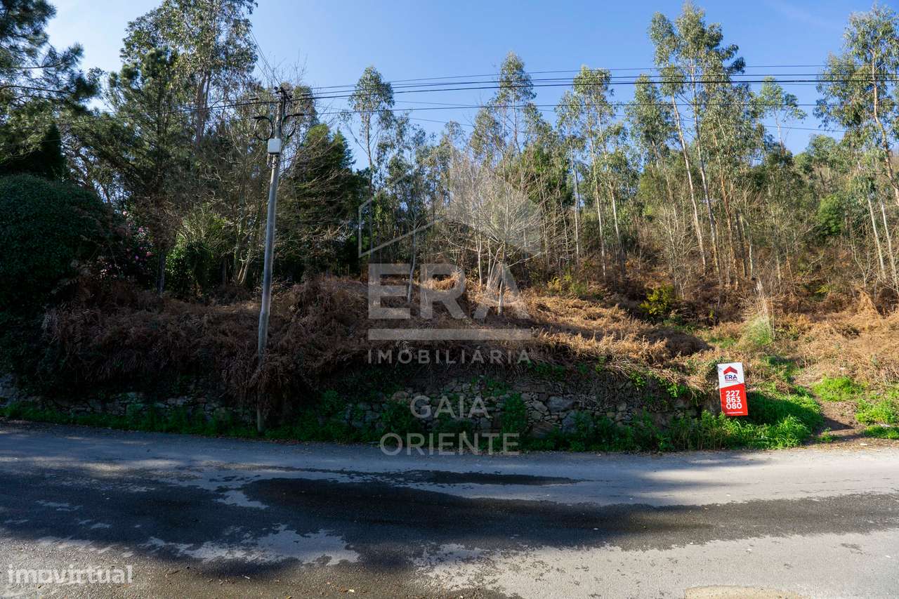 Terreno 1500 m² em Sanguedo-8