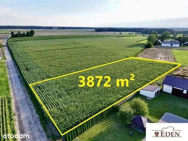 Na sprzedaż działka budowlana o pow. 3872 m - Daćbogi, gm. Wiśniew. - Pełny obrazek: 2/6