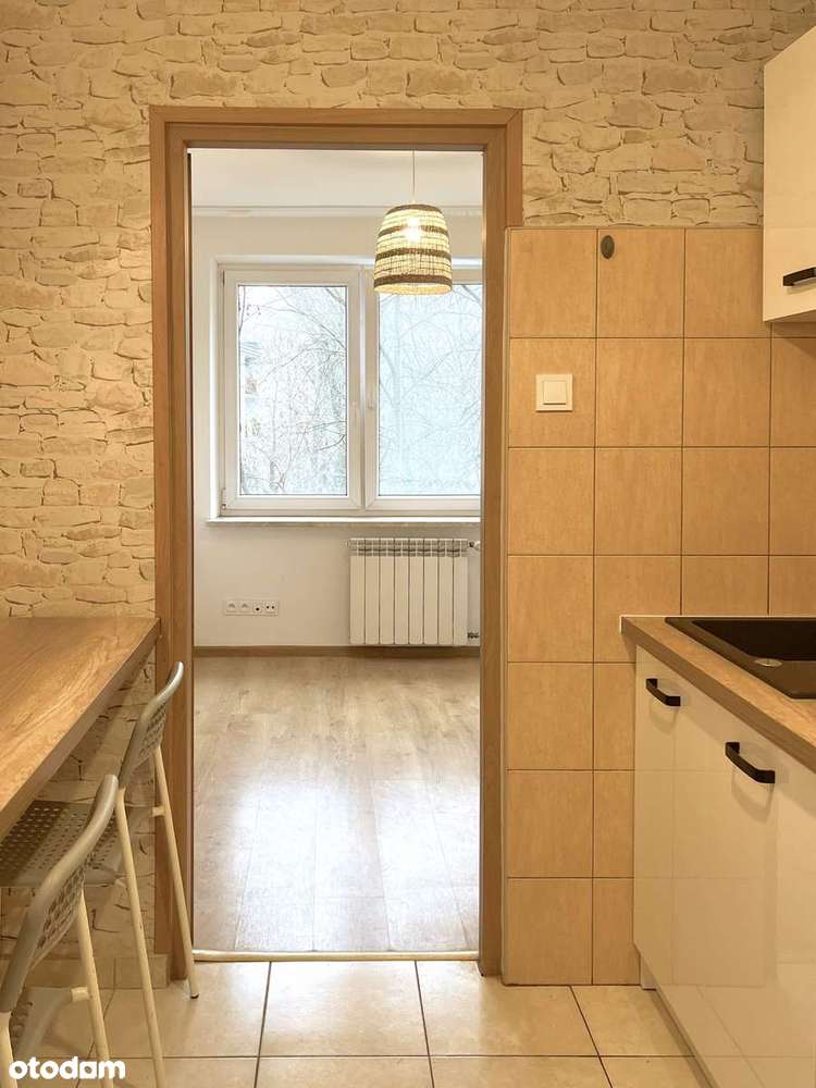 BLISKA PRAGA PŁD. BEZPOŚREDNIO. 35 mkw - Pełny obrazek: 5/11