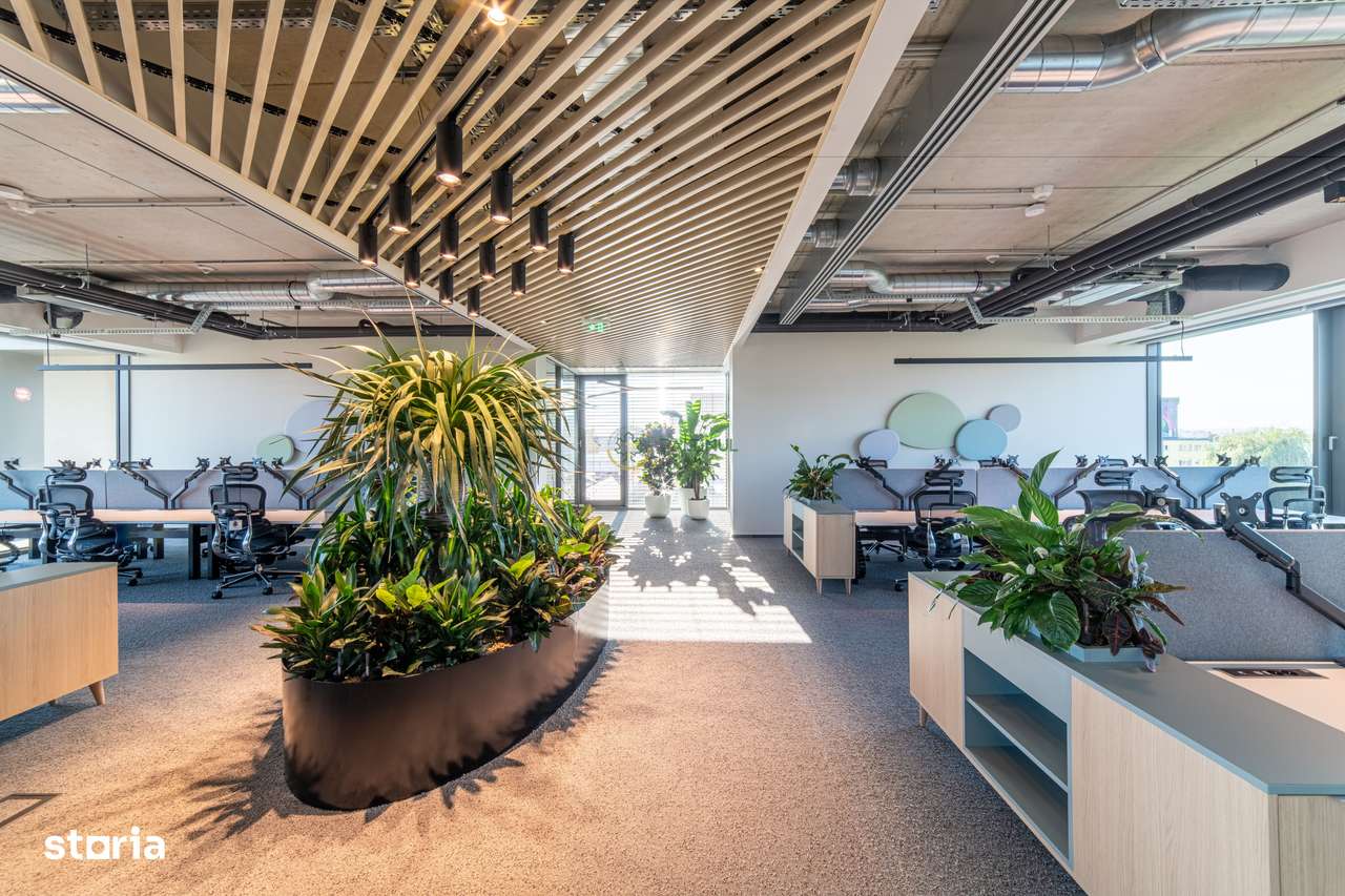 Spațiu birouri clasa A++ 220 mp de închiriat – central, Sibiu - Imagine principală: 1/11