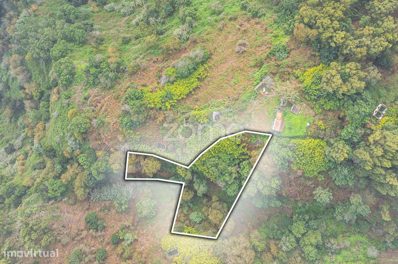 Terreno Rustico - localizado em Santa Cruz - Grande imagem: 5/7