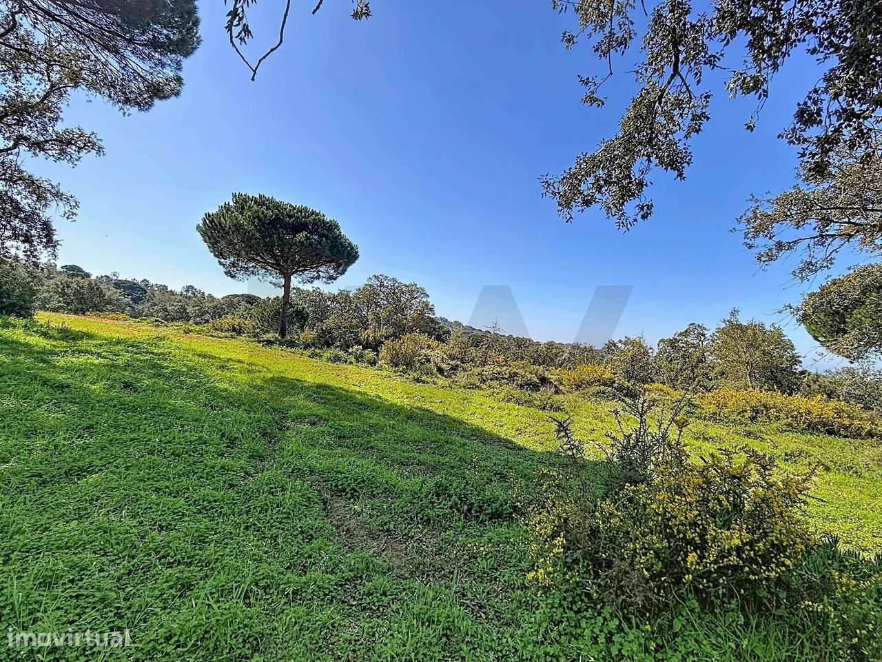 Terreno rústico de 80.000m2 com viabilidade de construção, em Sesimbra - Grande imagem: 4/27