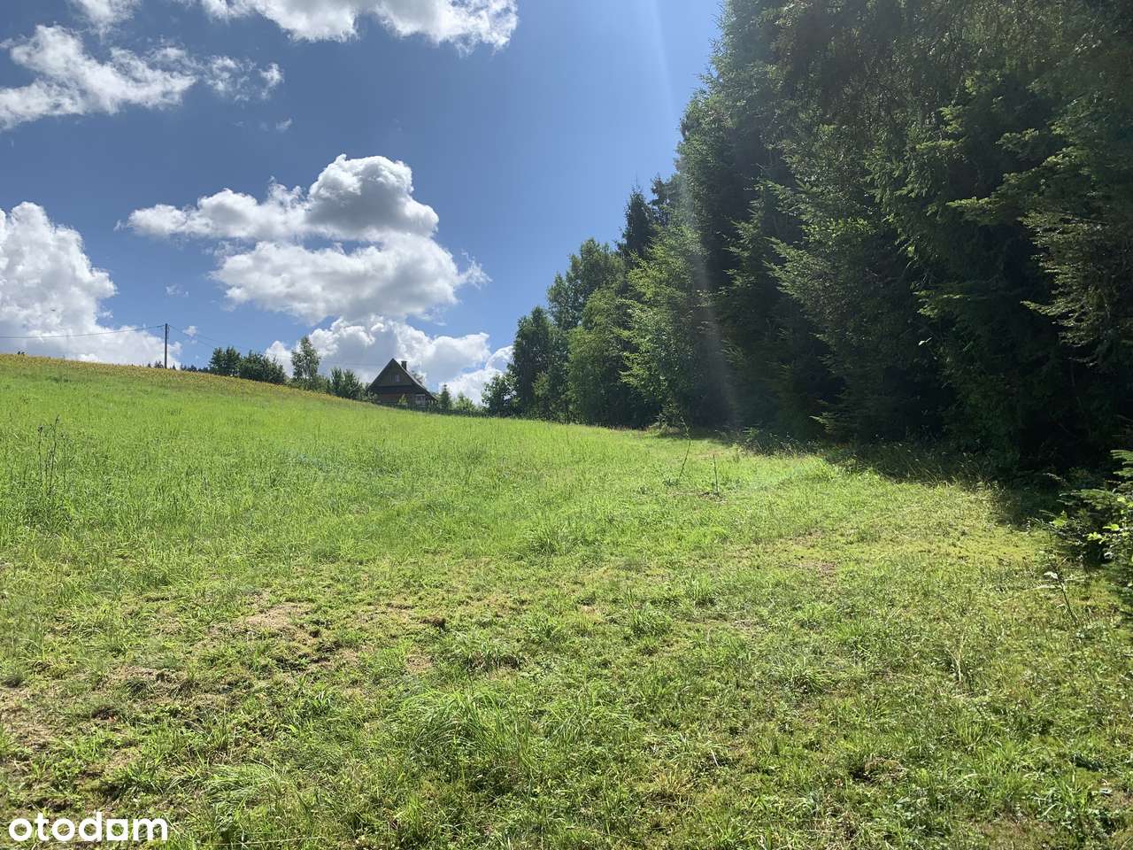 Piękne Działki Budowlane w Otoczeniu Lasu - Pełny obrazek: 4/10