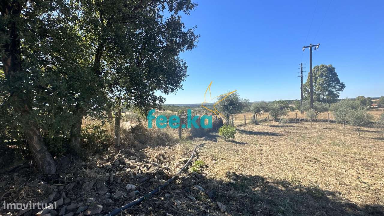 Quintinha em Monfortinho-17