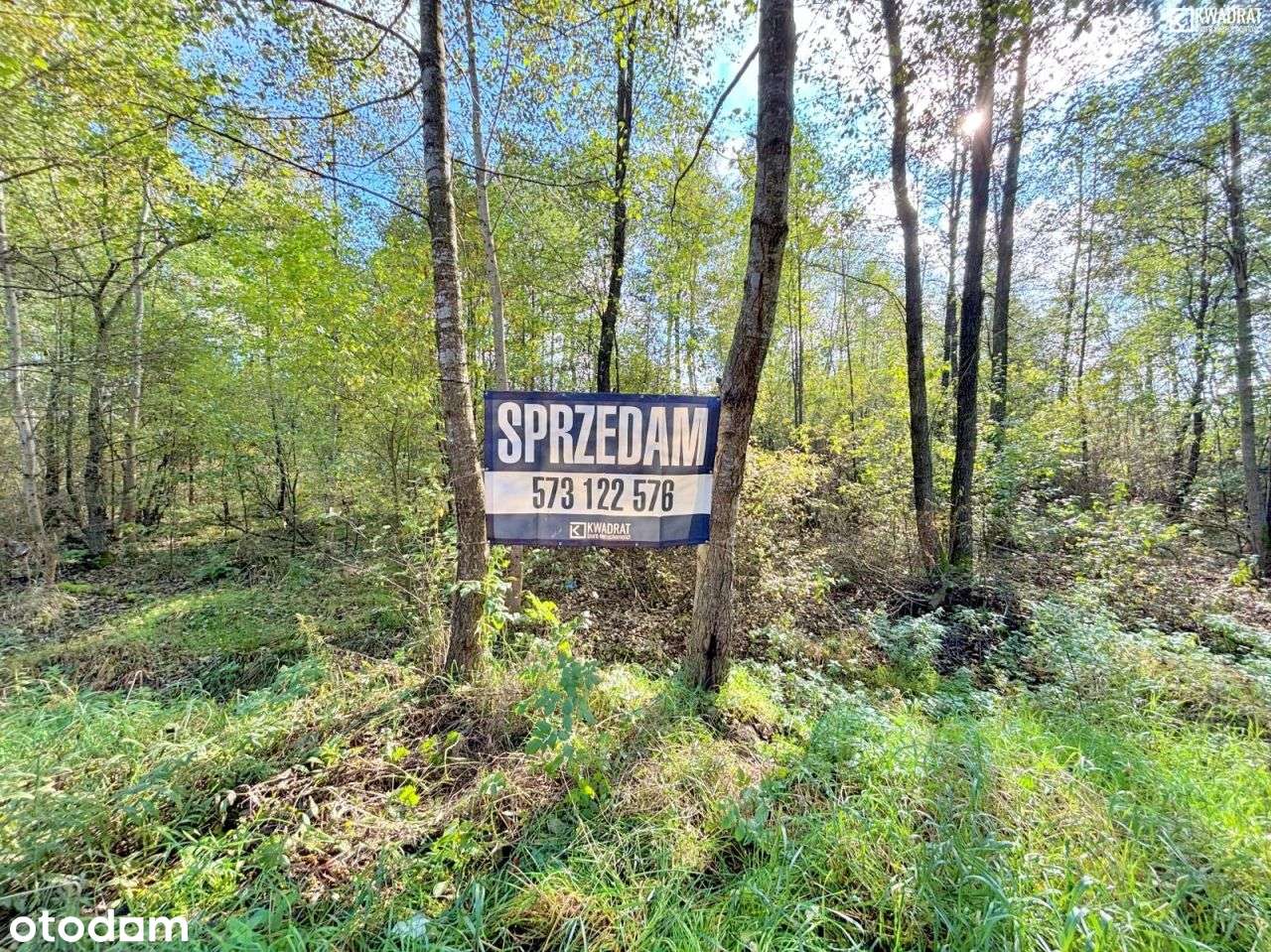 Działka rolna zadrzewiona - 77 a - Stary Orzechów - Pełny obrazek: 5/10