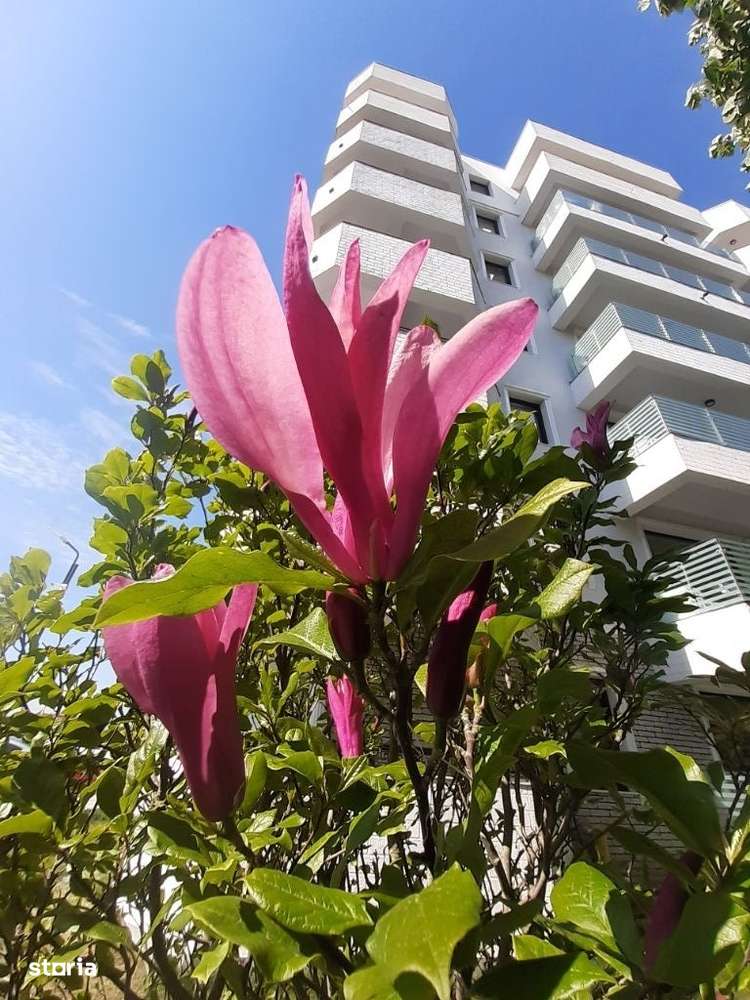 Predare Aprilie ! Apartament 1 cameră, 44 mp, Royal Town Iași-14