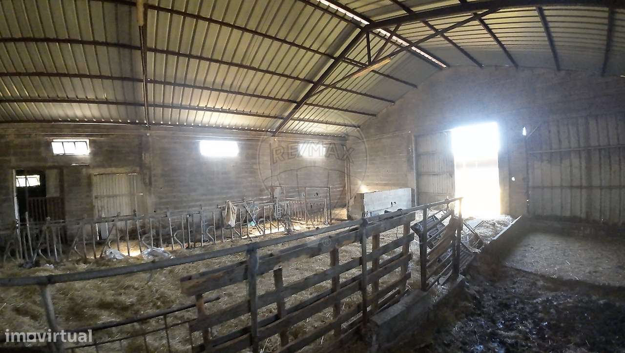 Armazém  para venda-10