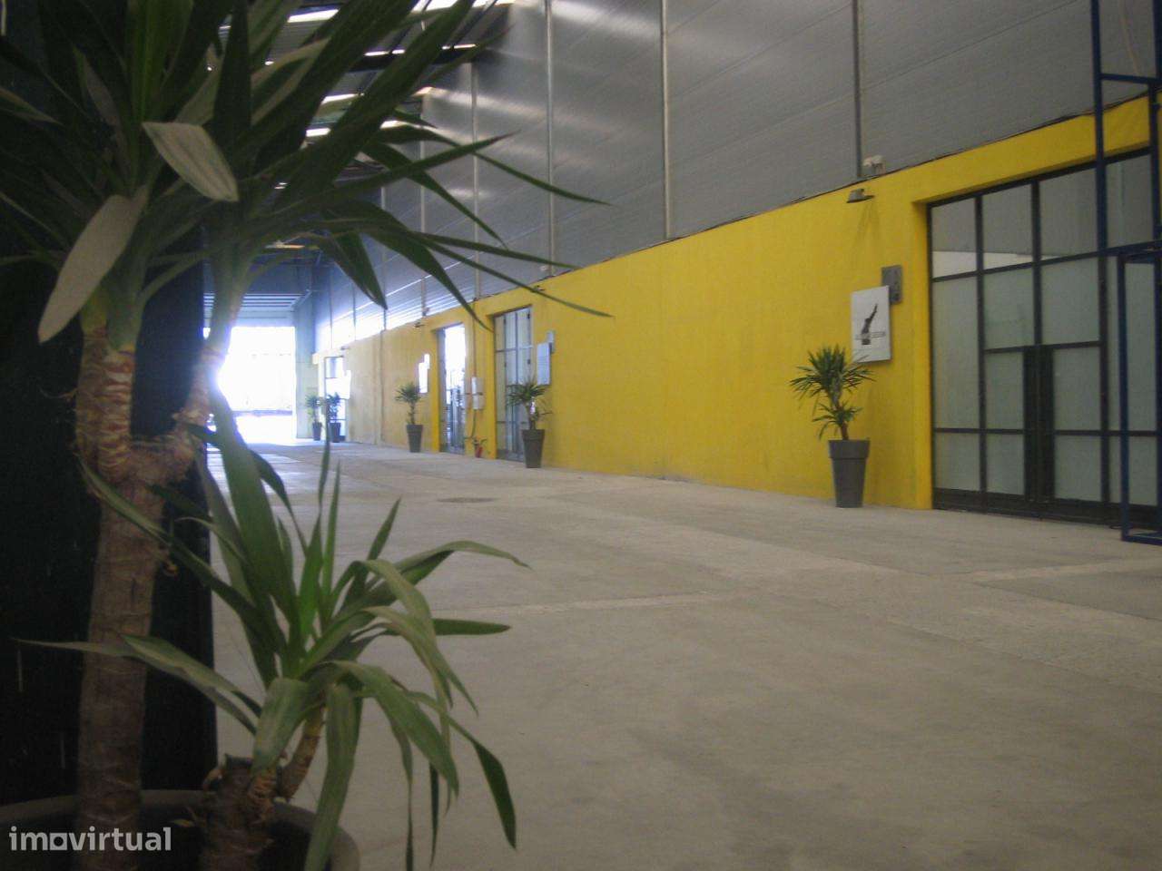 Armazém para Arrendamento - Matosinhos - Perafita - Grande imagem: 5/9