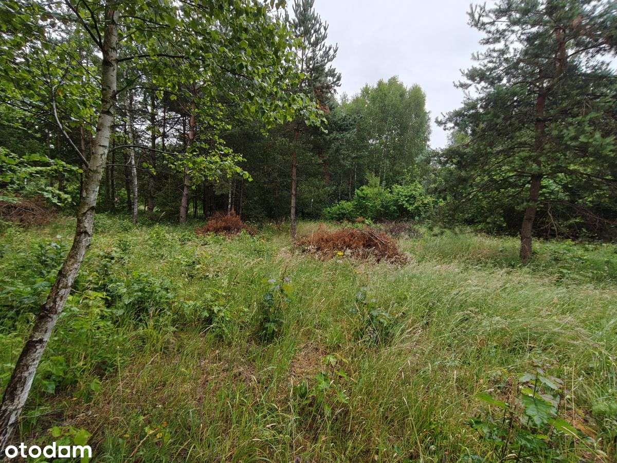 Działka budowlana Parchowski Młyn blisko jeziora.-10