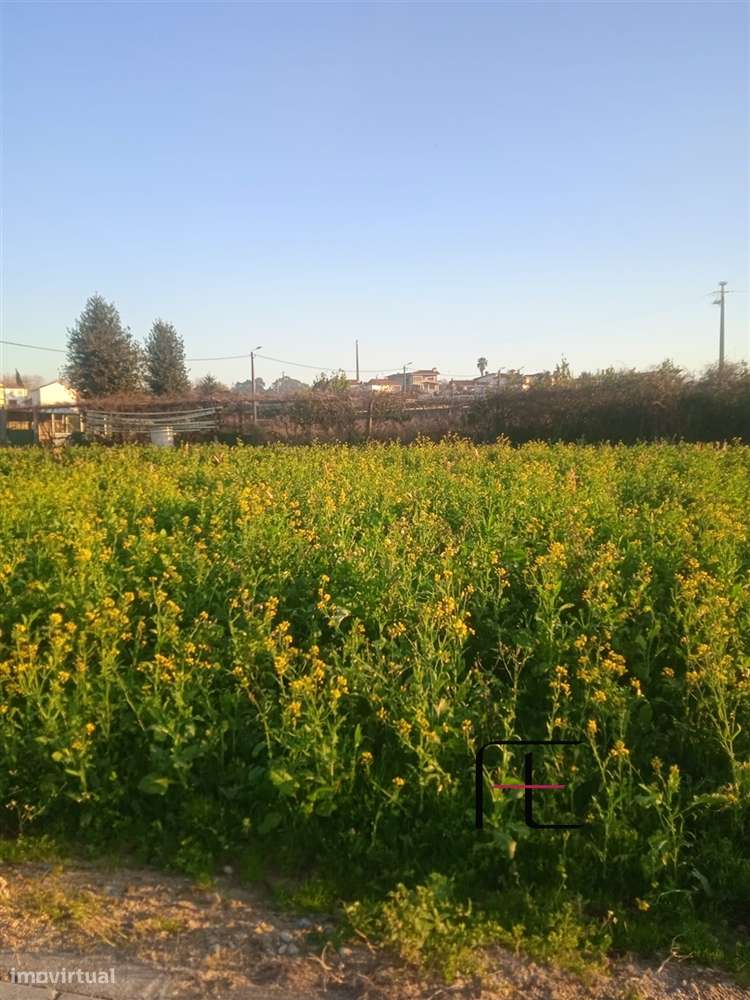 Lote de Terreno  Venda em Guilhabreu,Vila do Conde - Grande imagem: 4/8