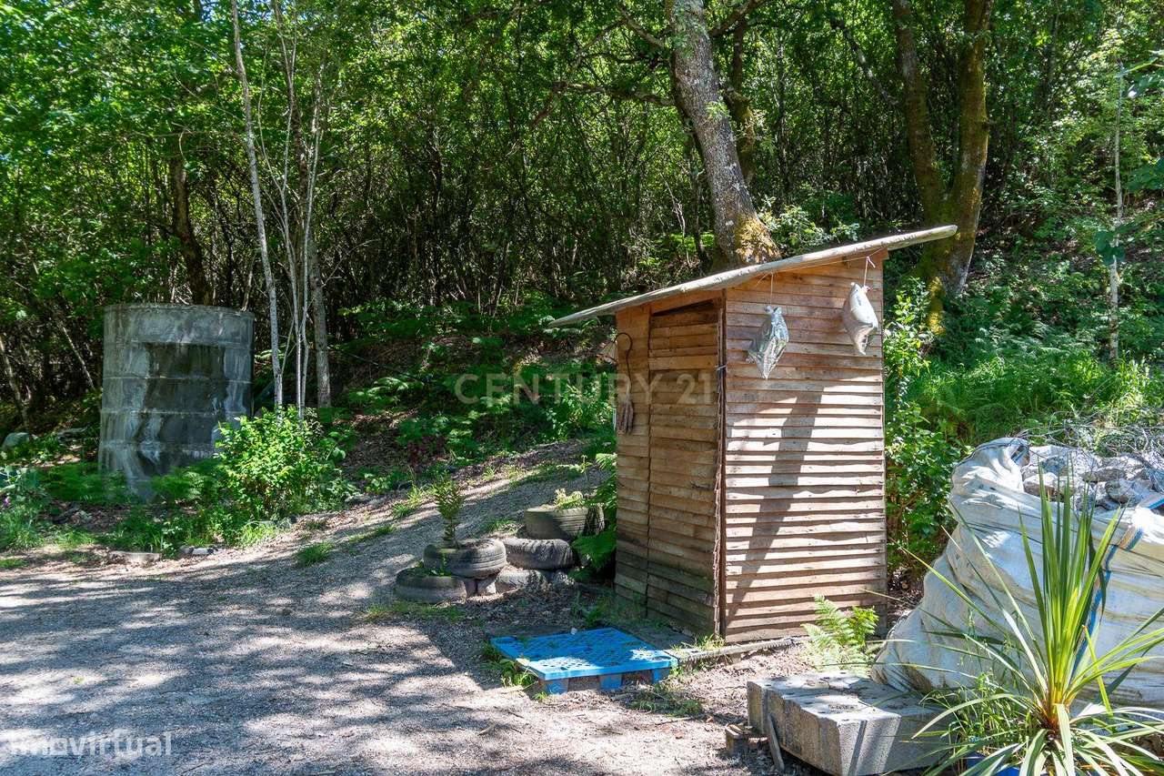 Viver de uma forma Ecológica em Terreno Panorâmico em Calde, Viseu-11