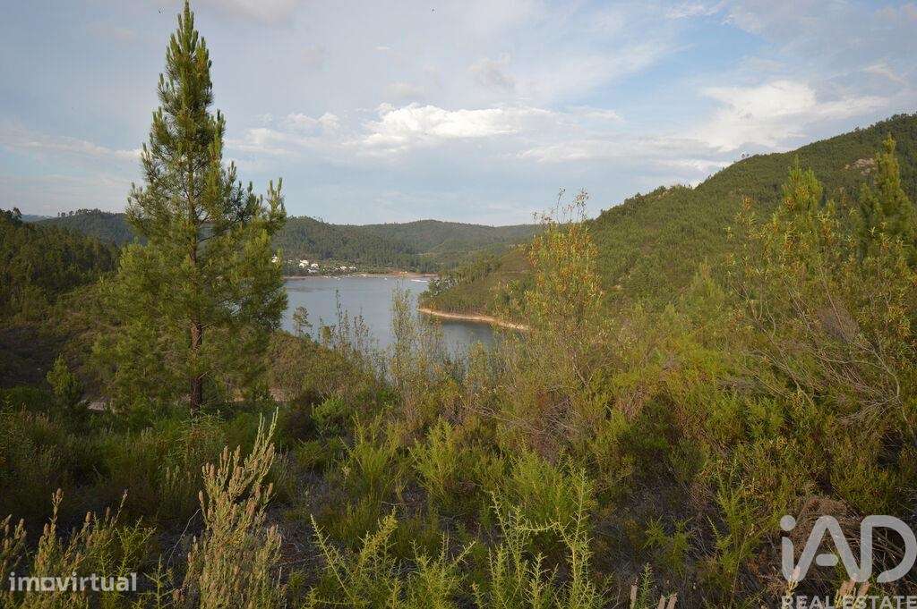 Terreno em Sertã de 9450,00 m2 - Grande imagem: 2/24
