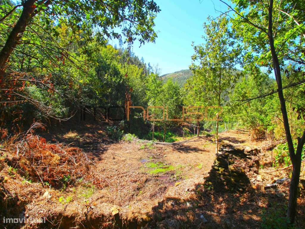 Quinta Isolada com Margem de Rio e Potencial de Eco-Retiro - Arouca-34