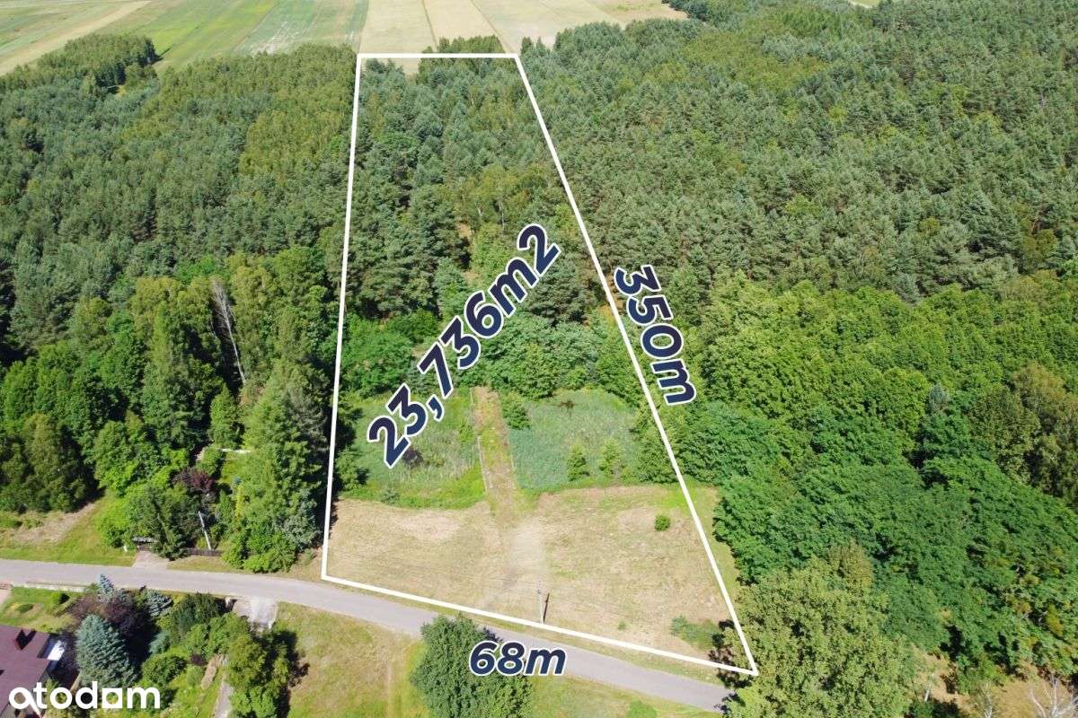 Działka budowlano rekreacyjna z lasem Koski