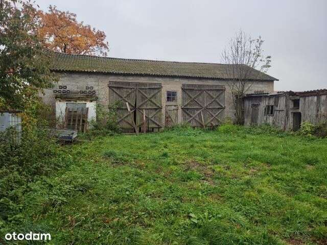 Działka siedliskowa tanio - Pełny obrazek: 4/6