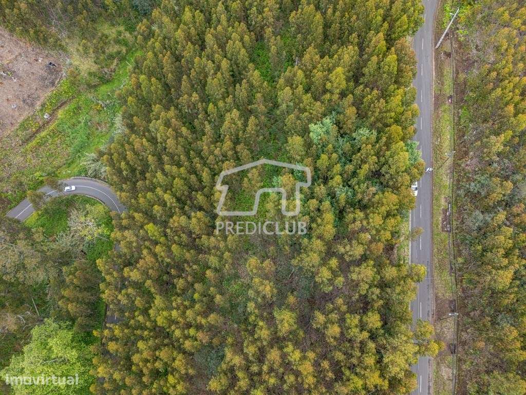 Terreno  889 m2 - Calheta - Grande imagem: 2/13