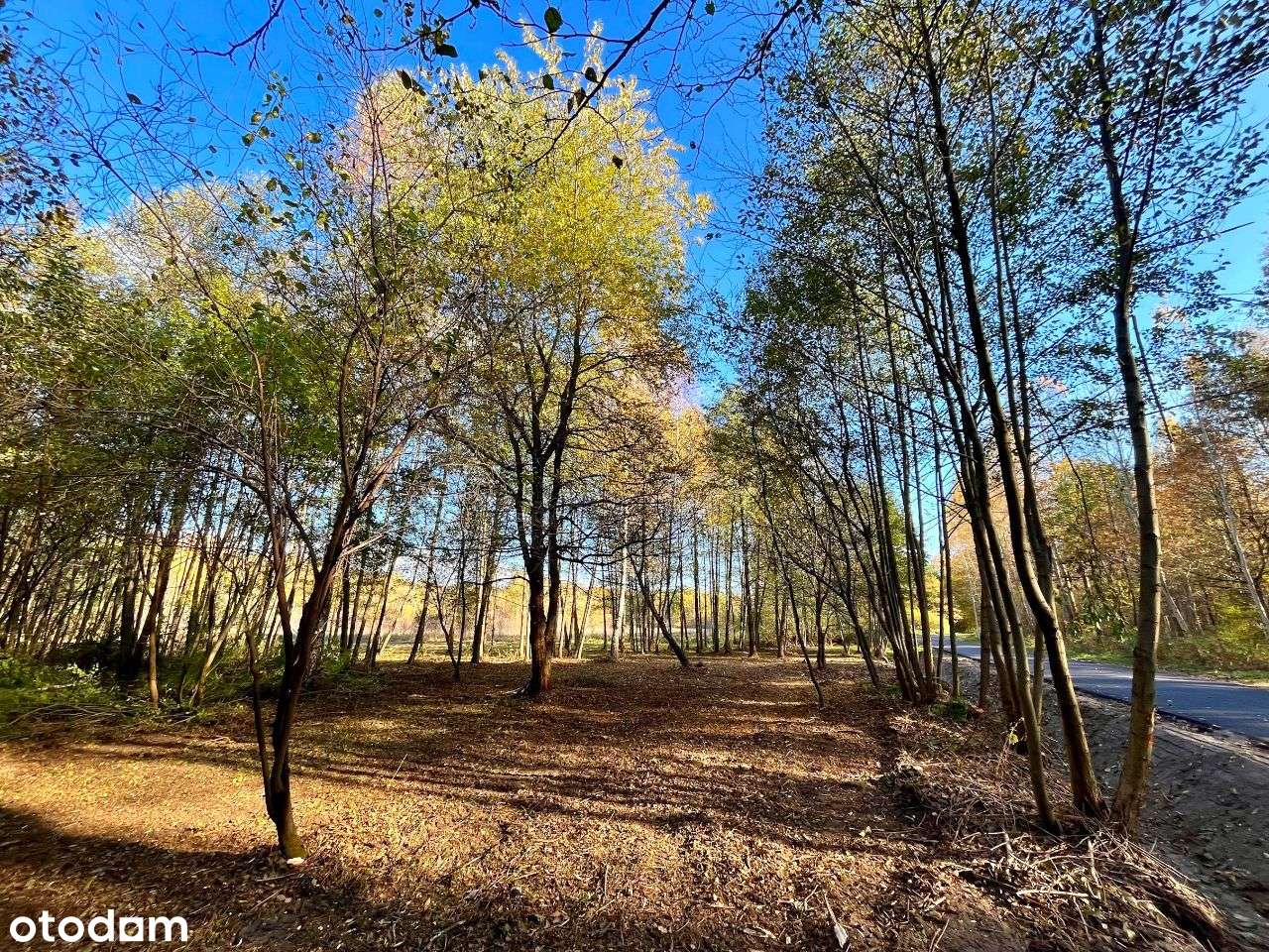 Gertrudów - działka budowlana - gmina Gomunice-9