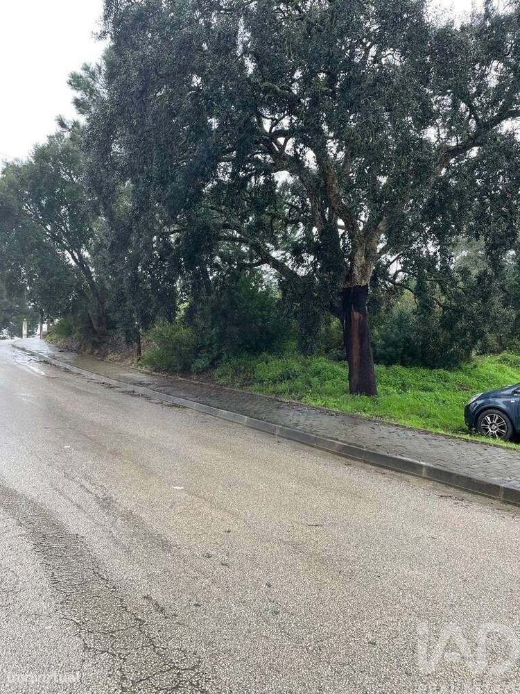 Terreno Agrícola em Gâmbia-Pontes-Alto da Guerra - Grande imagem: 4/13