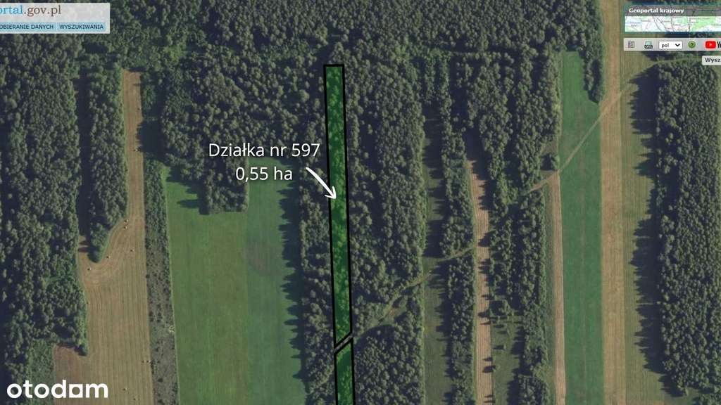 Dwie działki: rolna i leśna - Sojczyn Grądowy-3