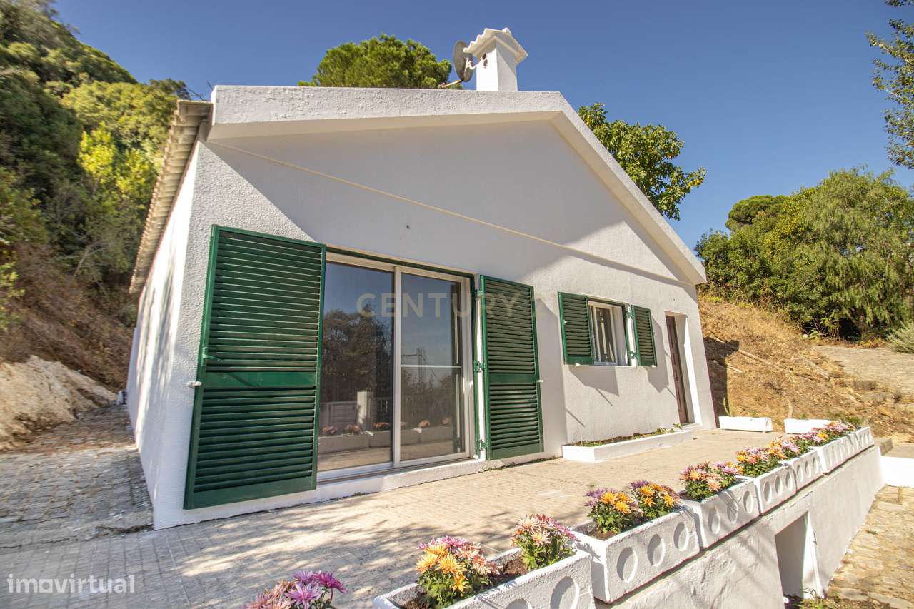 Quinta na Arrábida com moradia T5 de 364 m2 em lote de 13 520 m2 Onde-50
